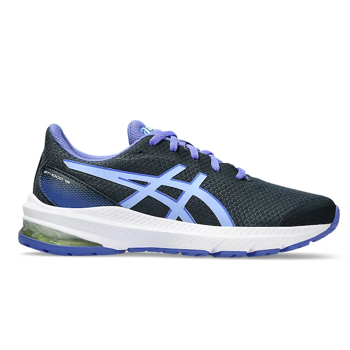 Asics Kid’s GT-1000 12 Grade School French Blue/Light Sapphire