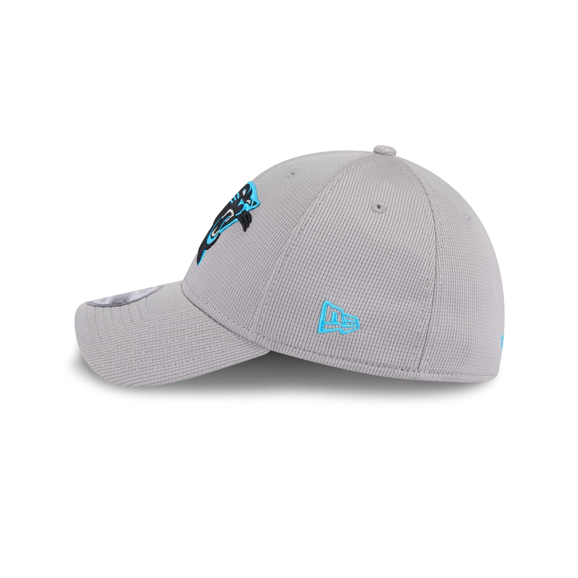 Carolina Panthers Active 39THIRTY Stretch Fit Hat