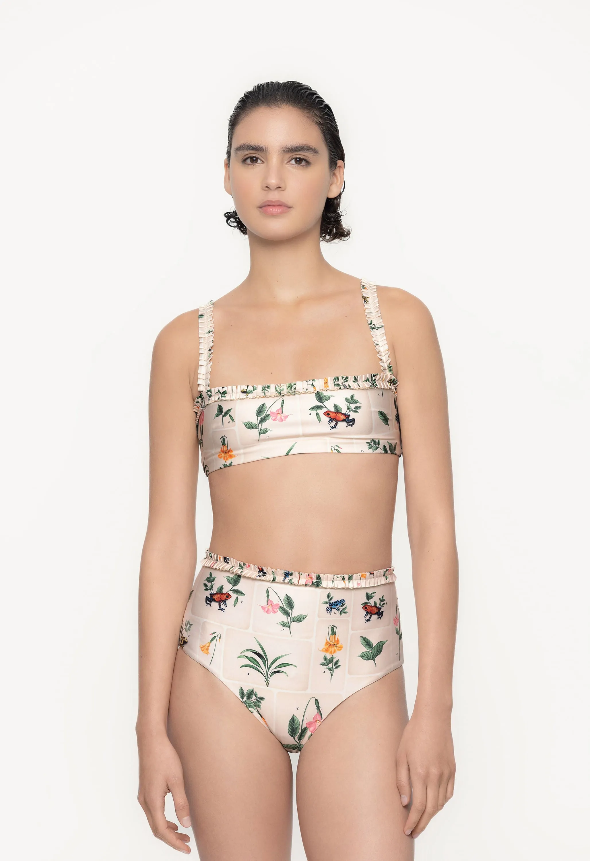 Nopal Ranas Bikini Bottom