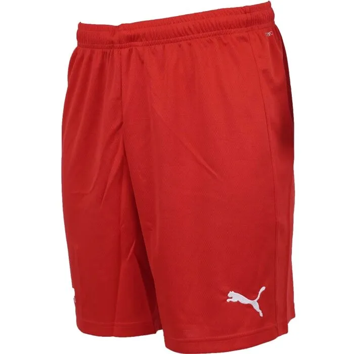 Puma HOME SHORTS MEN