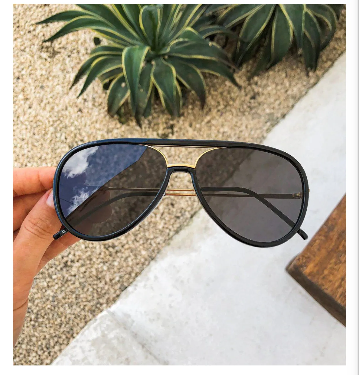 SHAY Sunglasses